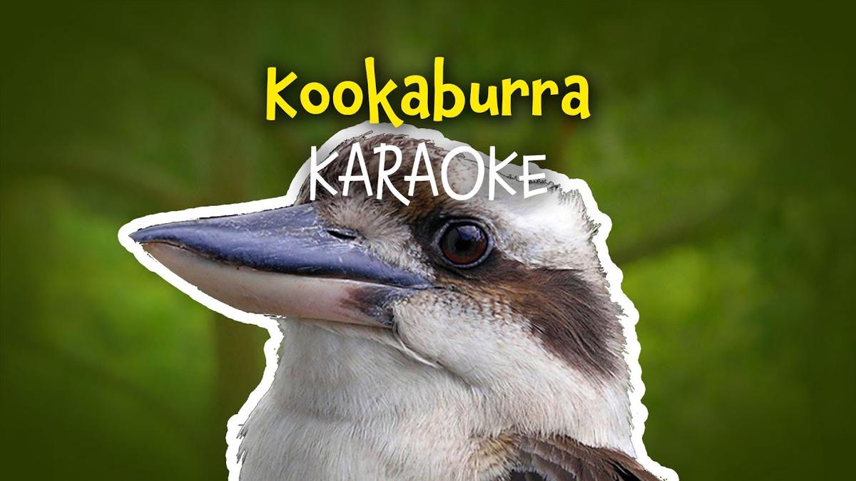 Kookaburra Free Nursery Rhymes with Lyrics