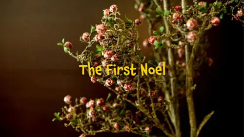 Read more about the article The First Noel