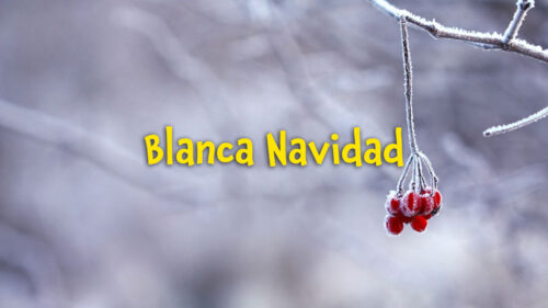 Read more about the article Blanca Navidad – Versión en Español