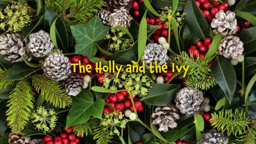 Read more about the article The Holly and the Ivy