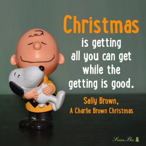  A Charlie Brown Christmas quote.