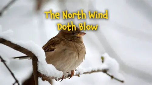 The North Wind Doth Blow (The Robin)