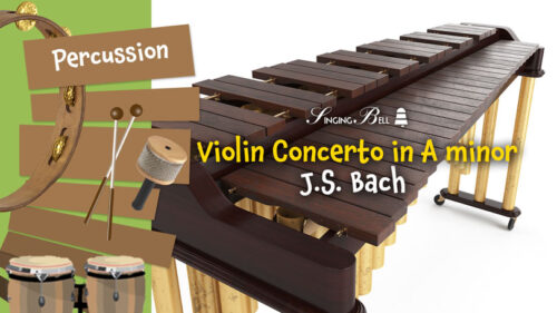 Bach's Violin Concerto in A minor Marimba Sheet Music