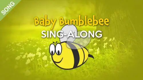 Baby Bumblebee