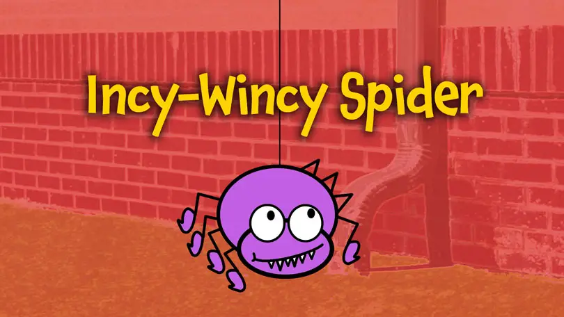 Incy Wincy Spider