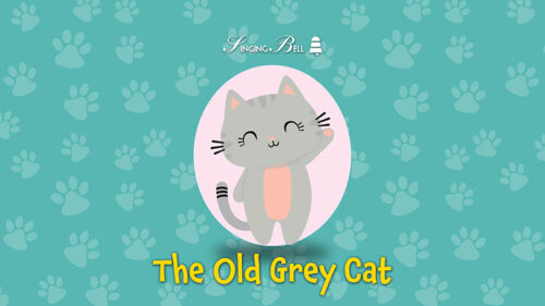 The Old Grey Cat