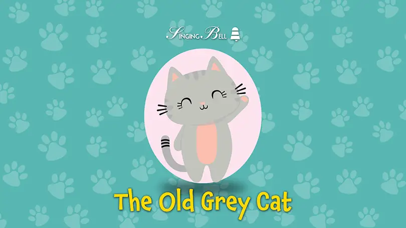 The Old Grey Cat