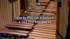 How to Play the Xylophone: 5 Tips for Beginners